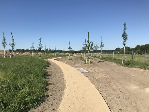 Weg durch die Streuobstwiese